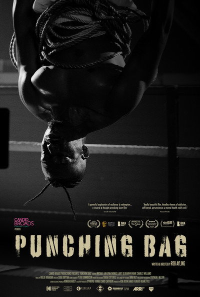 Póster de Punching Bag