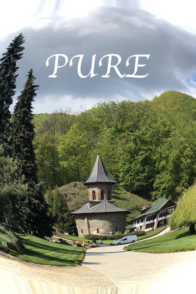 Póster de Pure