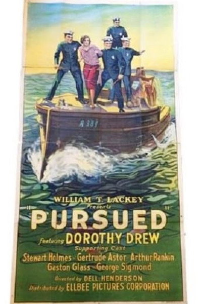 Póster de Pursued