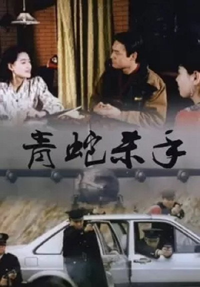 Póster de Qing she sha shou