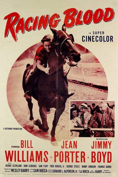 Póster de Racing Blood
