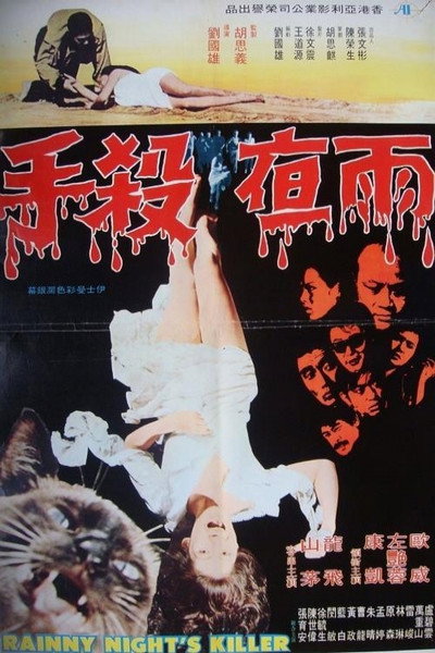Póster de Rainy Night's Killer