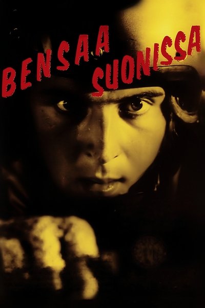 Póster de Rally