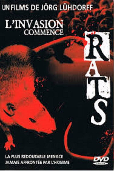 Póster de Ratas