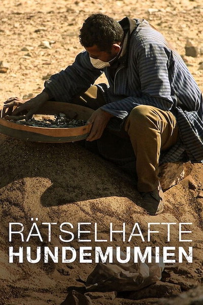 Póster de Rätselhafte Hundemumien