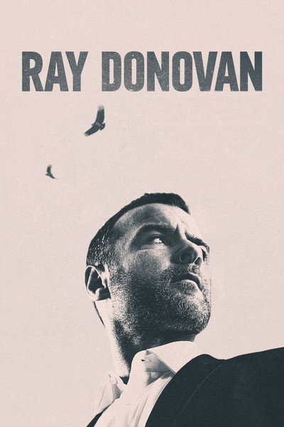 Póster de Ray Donovan, la película