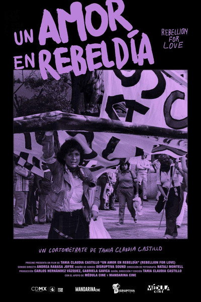 Póster de Rebellion for love
