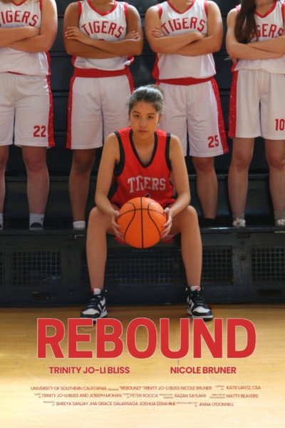 Póster de Rebound