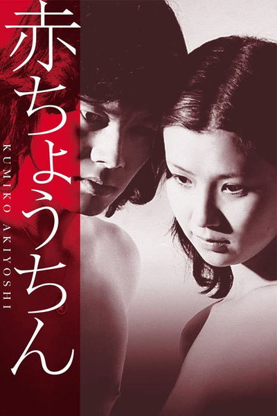 Póster de Red Paper Lanterns