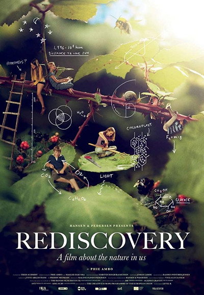 Póster de Rediscovery
