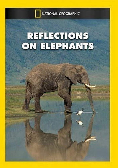 Póster de Reflections on Elephants