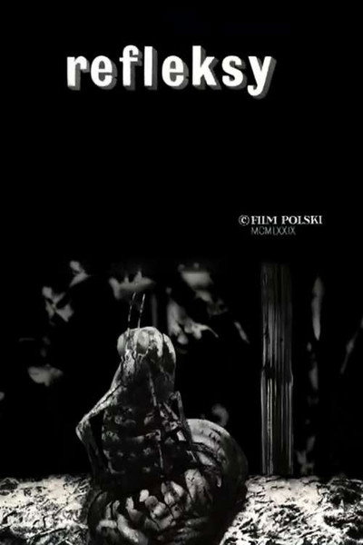 Póster de Refleksy