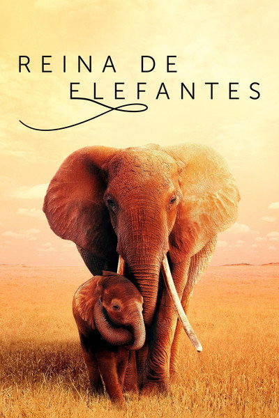 Póster de Reina de elefantes