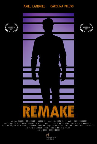 Póster de Remake