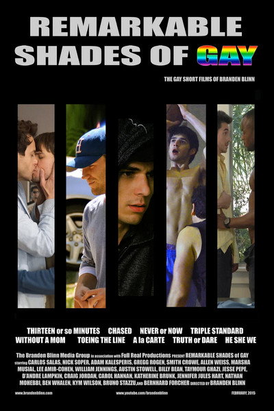 Póster de Remarkable Shades of Gay