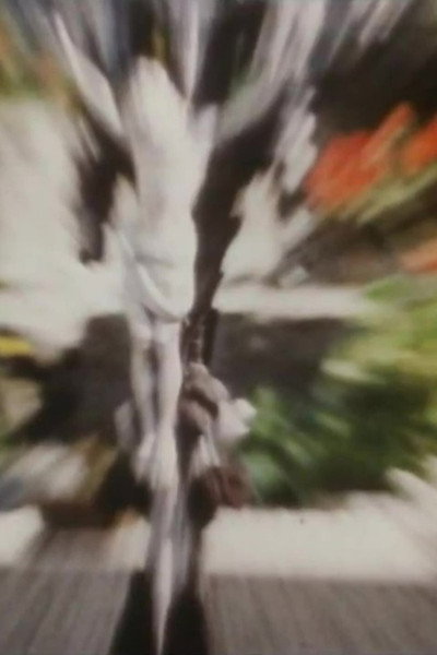 Póster de Reseminne