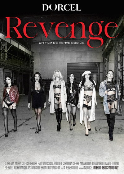 Póster de Revenge