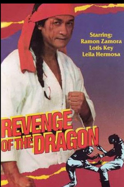 Póster de Revenge of the Dragon