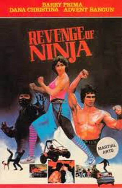 Póster de Revenge of the Ninja