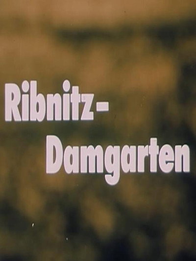 Póster de Ribnitz-Damgarten