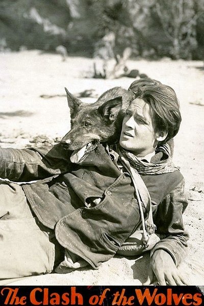 Póster de Rin Tin Tin y los lobos
