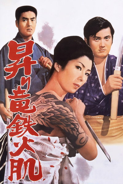 Póster de Rising Dragon's Iron Flesh