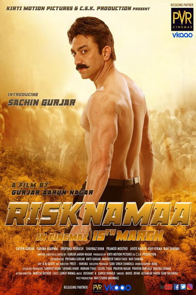 Póster de Risknamaa