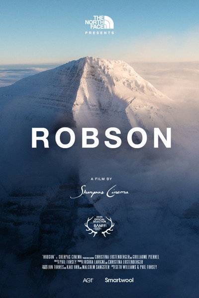 Póster de Robson
