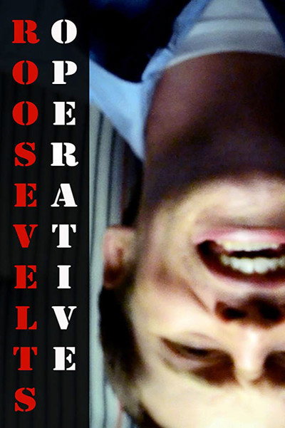 Póster de Roosevelt's Operative