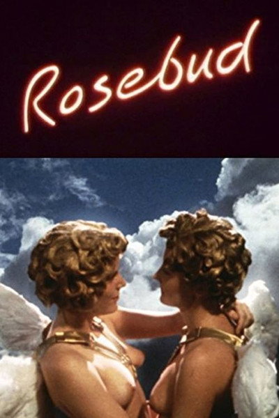 Póster de Rosebud