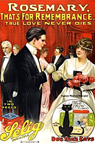 Póster de Rosemary, That's for Remembrance