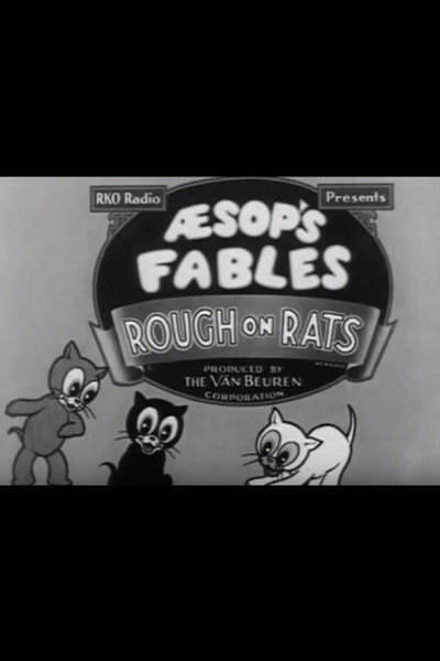 Póster de Rough on Rats