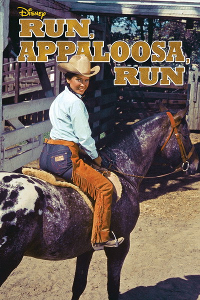 Póster de Run, Appaloosa, Run