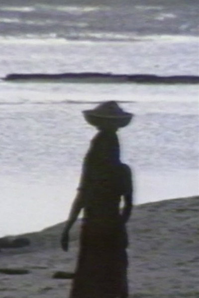 Póster de Sable