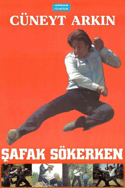 Póster de Safak Sökerken