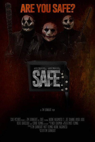 Póster de Safe