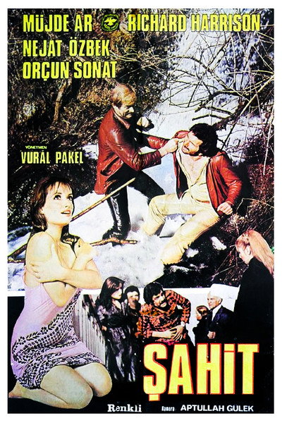 Póster de Sahit