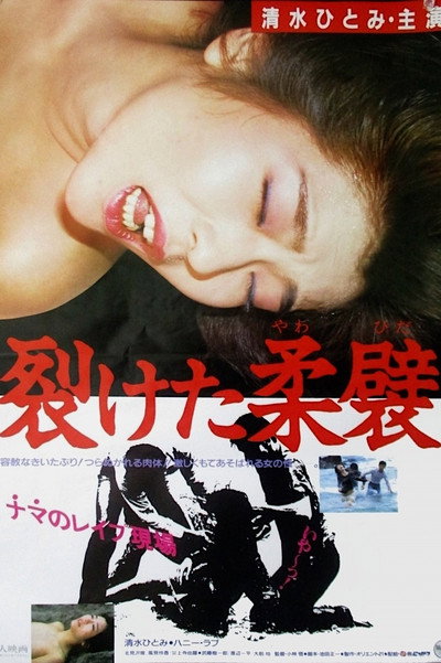 Póster de Saketa Yawahida
