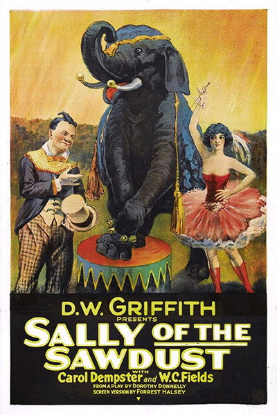 Póster de Sally la hija del circo