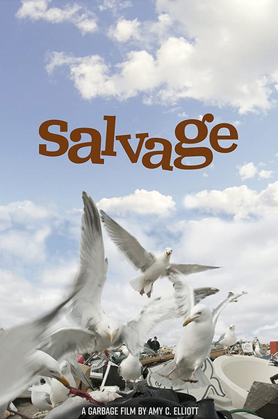 Póster de Salvage