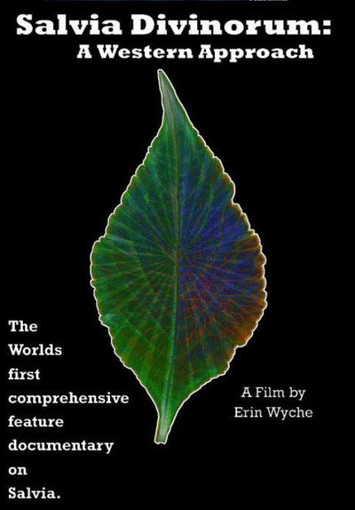 Póster de Salvia Divinorum: A Western Approach