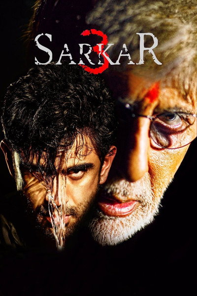 Póster de Sarkar 3