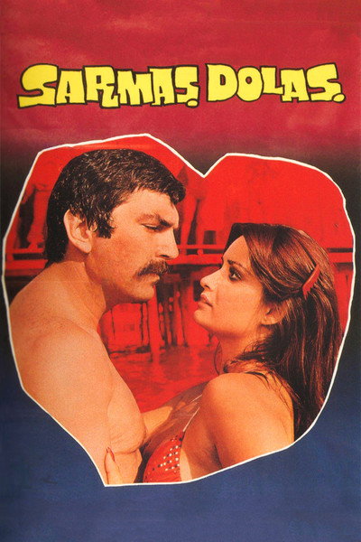 Póster de Sarmas Dolas