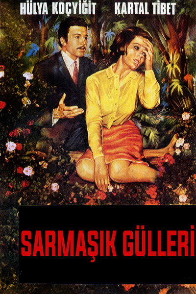 Póster de Sarmasik gülleri