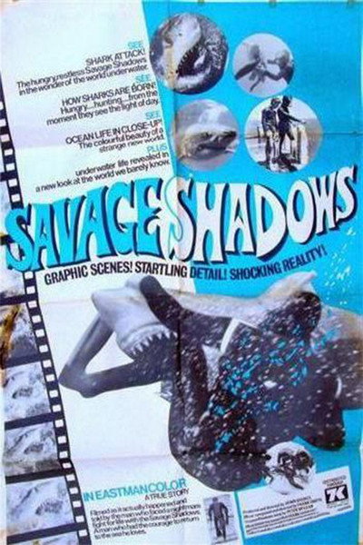 Póster de Savage Shadows