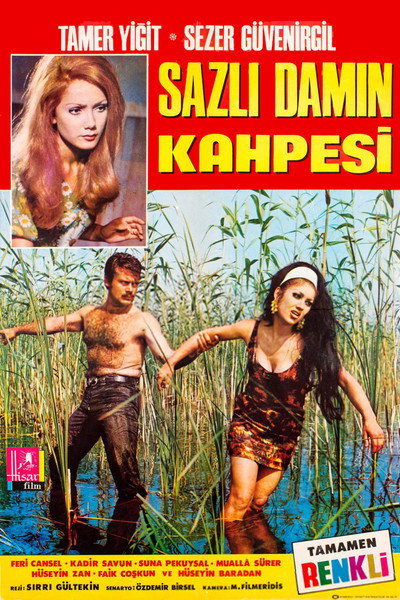 Póster de Sazli Damin Kahpesi