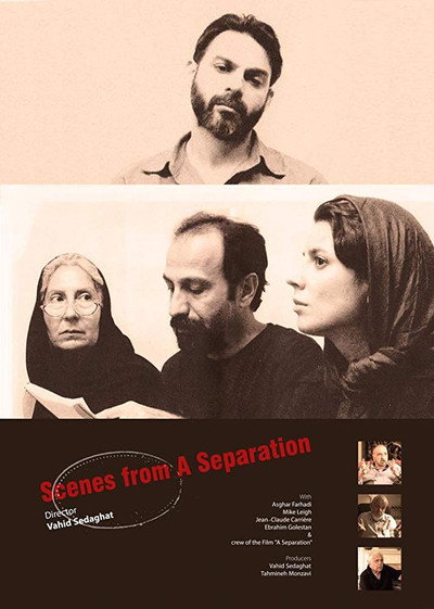 Póster de Scenes from a Separation
