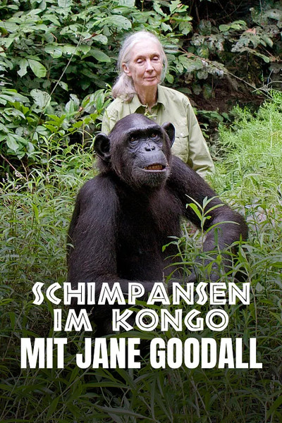 Póster de Schimpansen im Kongo mit Jane Goodall