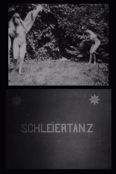 Póster de Schleiertanz