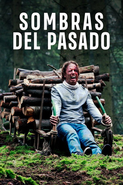 Póster de Schlitter
